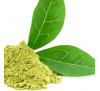 Екстракт зеленого чаю (1 г) / Camellia Sinensis